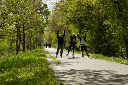 gallo-roller-2014-04-19-139